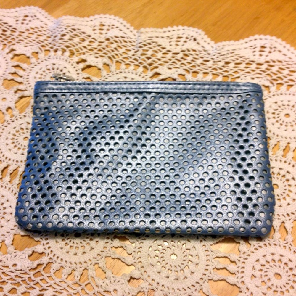 ipsy silver mesh cosmetic bag